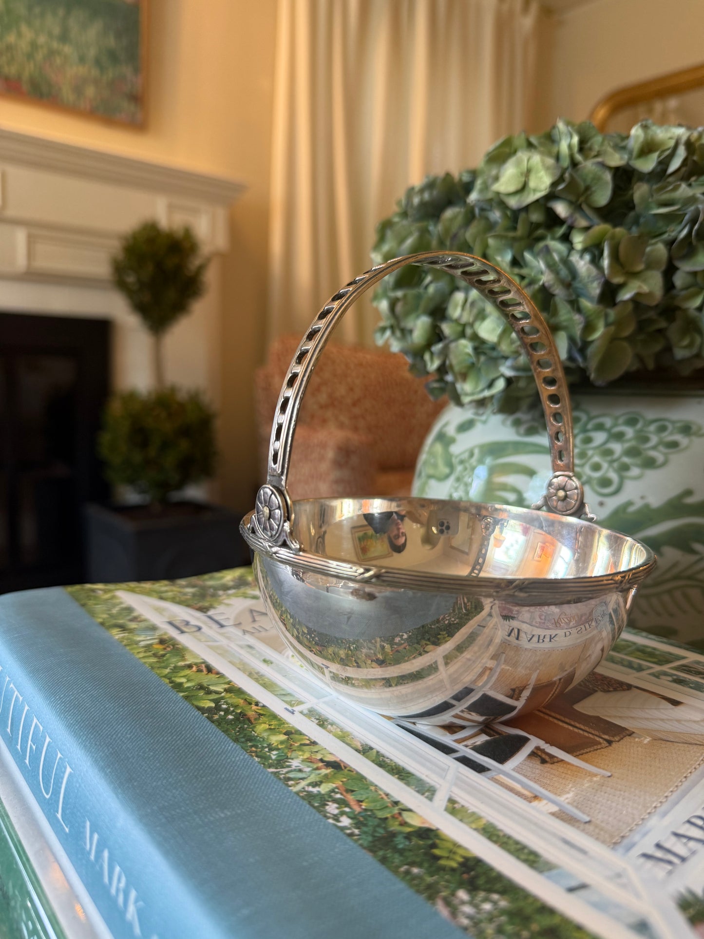 Silver plated handle bowl